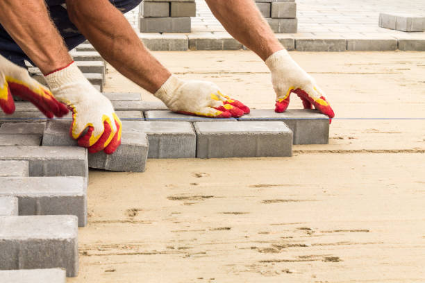 Best Permeable Paver Driveway  in Pine Hills, FL