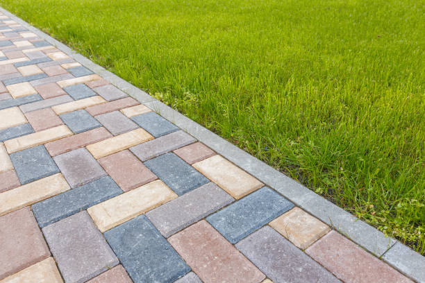 Driveway Repair Near Me in Pine Hills, FL